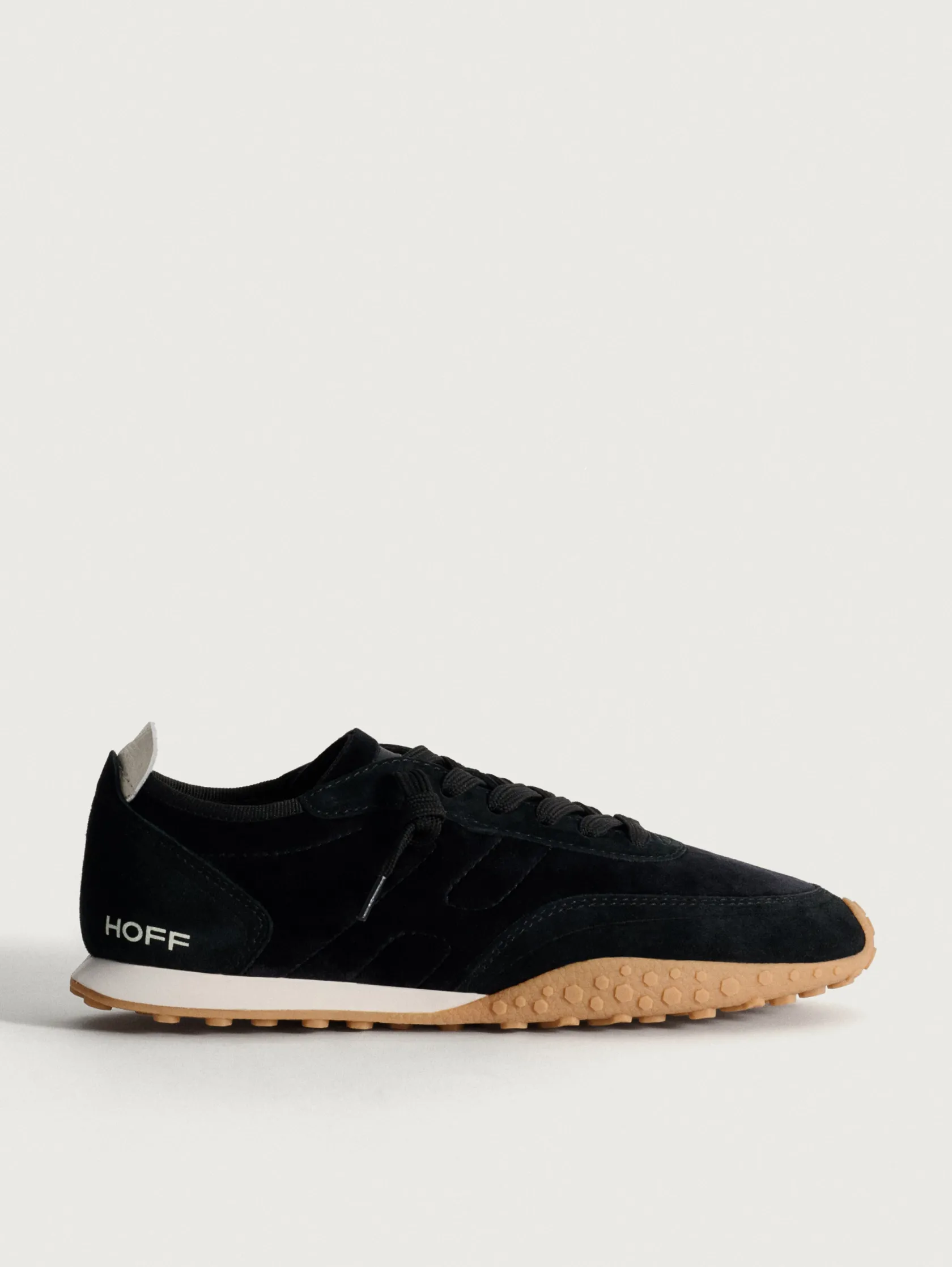 HOFF State|Bird^ROYAL TERN