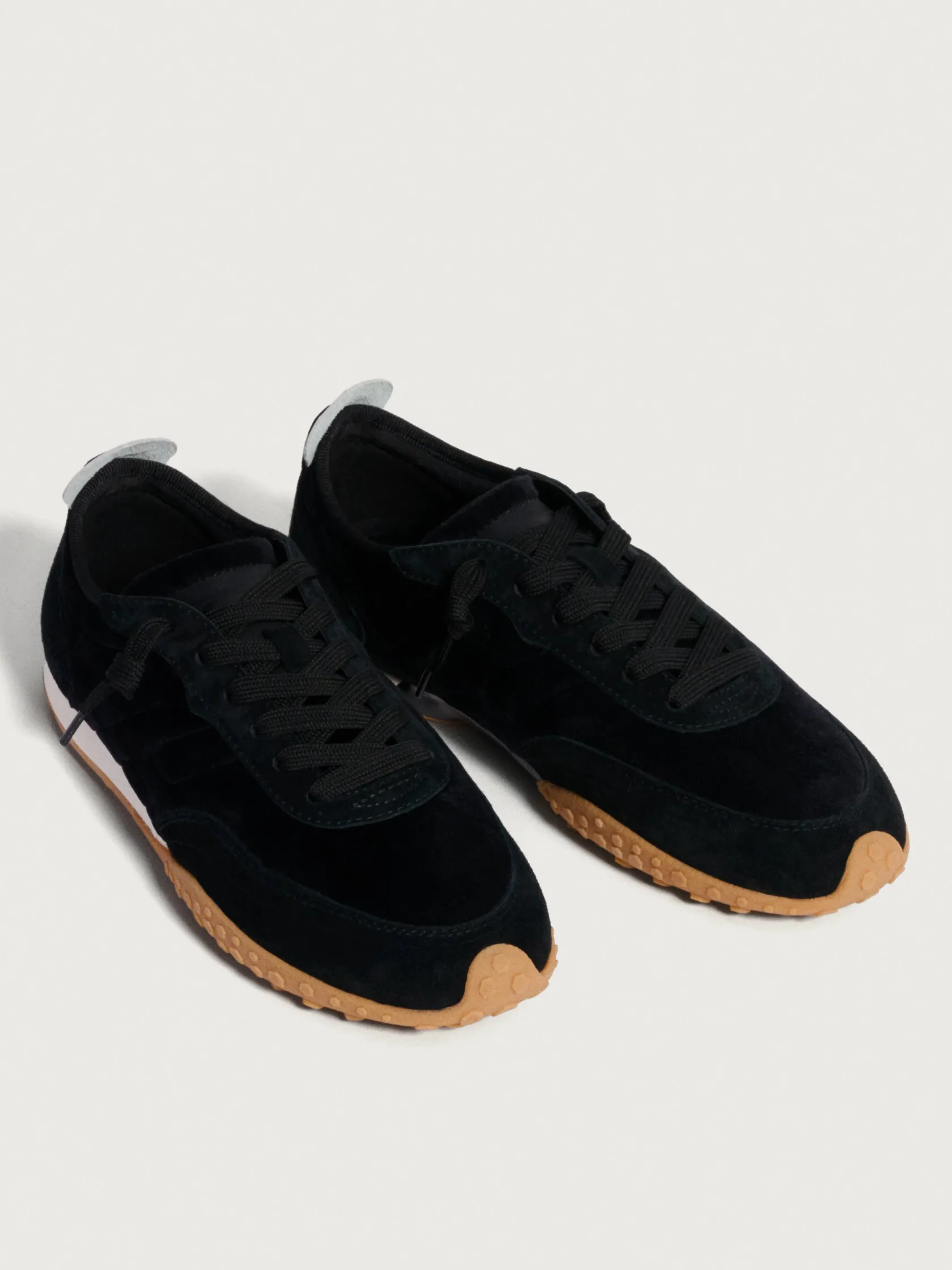 HOFF State|Bird^ROYAL TERN